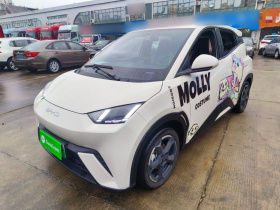 比亚迪 海鸥 2023款 自由版