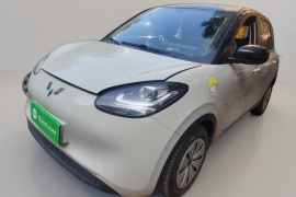 五菱汽车 五菱缤果 2023款 203km 轻享款