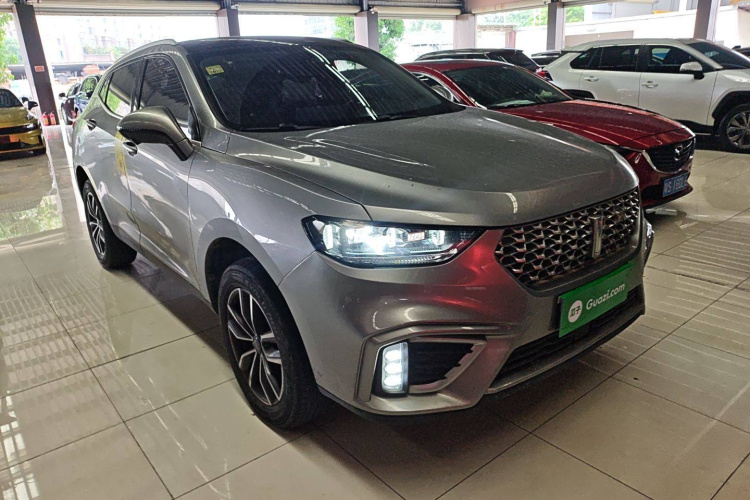 魏牌 VV5 2021款 1.5T 两驱颜先锋车身外观6002