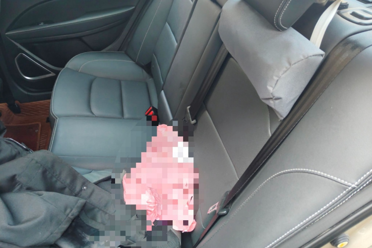 吉利汽车 帝豪 2020款 1.5L 手动向上版中控内饰7004