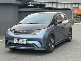 比亚迪 海豚 2023款 401km 骑士版