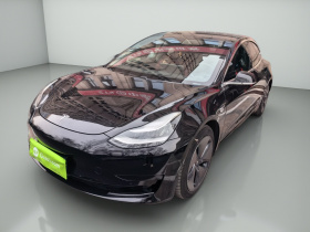 特斯拉 Model 3 2020款 标准续航后驱升级版