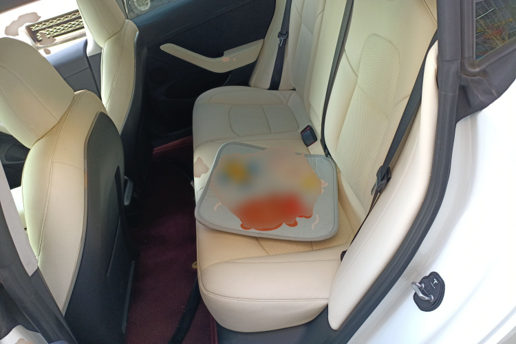 特斯拉 Model 3 2022款 Performance高性能全轮驱动版中控内饰21