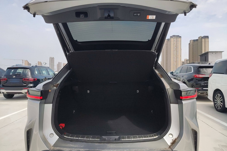 雷克萨斯RZ 2023款 450e 四驱纵行版局部细节23