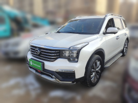 广汽传祺 传祺GS8 2017款 320T 四驱豪华智联版（七座）