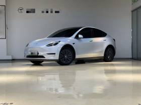 特斯拉 Model Y 2021款 标准续航后驱版