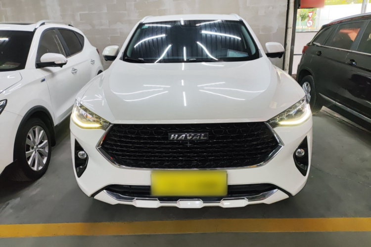 哈弗F7x 2019款 1.5T 两驱极智潮玩版车身外观6001