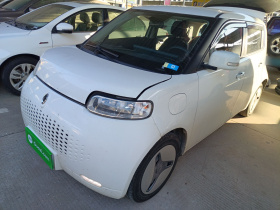 欧拉白猫 2020款 360km 豪华型