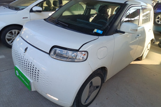 欧拉白猫 2020款 360km 豪华型