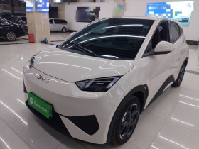 比亚迪 海鸥 2025款 智驾版 405km 自在版