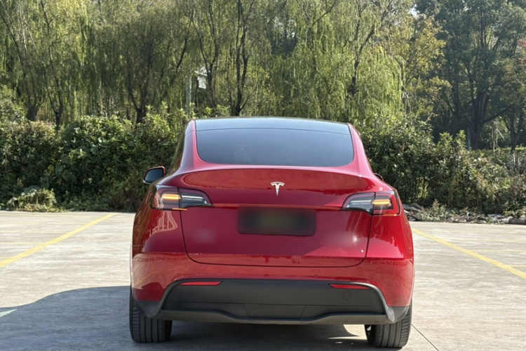 特斯拉 Model Y 2021款 长续航全轮驱动版车身外观6005