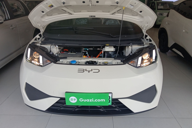 比亚迪 海鸥 2025款 305km 活力版机舱底盘24