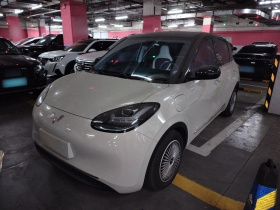 五菱汽车 五菱缤果 2023款 333km 灵犀互联+款