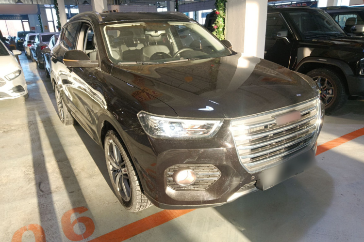 哈弗H6 2017款 红标 2.0T 自动两驱智尚型车身外观6002