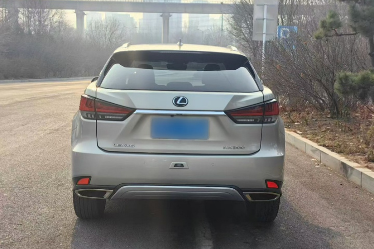 雷克萨斯RX 2020款 改款 300 四驱典雅版车身外观6004