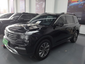 广汽传祺 传祺GS8 2017款 320T 两驱豪华智联版（七座）