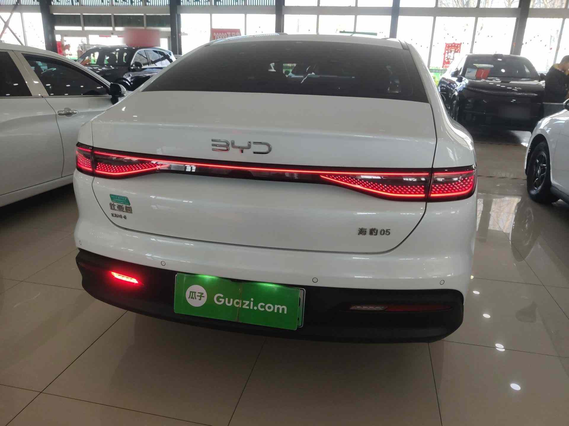比亚迪 海豹05 DM-i 2025款 DM-i 智驾版 55KM豪华型(4)