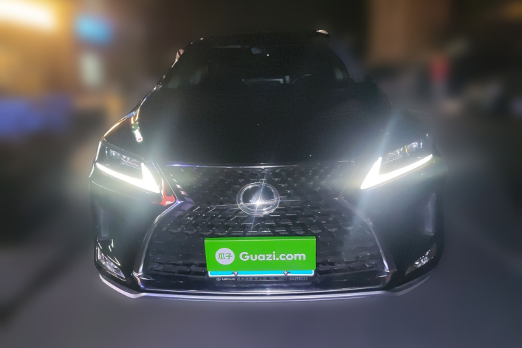 雷克萨斯RX 2020款 改款 300 两驱精英版车身外观2