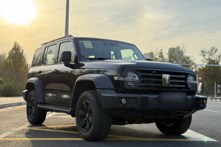 坦克300 2025款 2.4T 柴油版车身外观6002