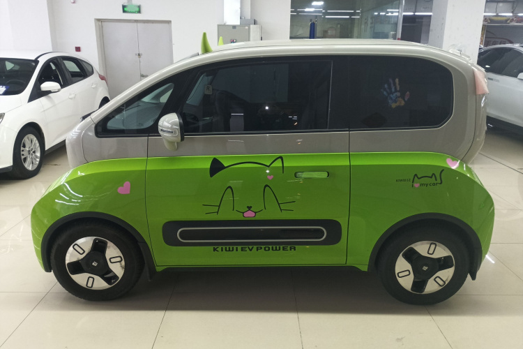 宝骏KiWi EV 2021款 艺术家 三元锂车身外观4