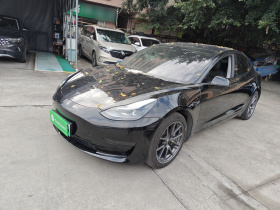 特斯拉 Model 3 2021款 标准续航后驱升级版 3D6