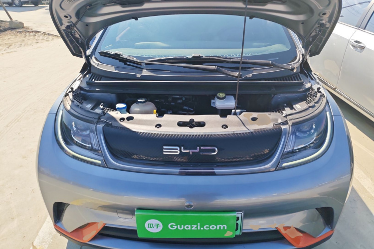 比亚迪 海豚 2021款 405km 自由版机舱底盘24