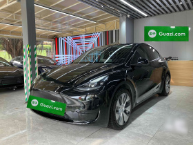 特斯拉 Model Y 2022款 后轮驱动版