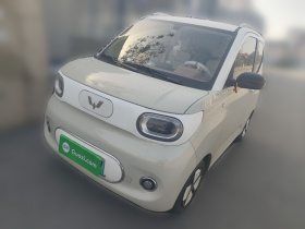 五菱汽车 宏光MINIEV 2024款 第三代 215km 进阶版