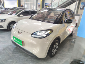 五菱汽车 五菱缤果 2023款 333km 悦享+款