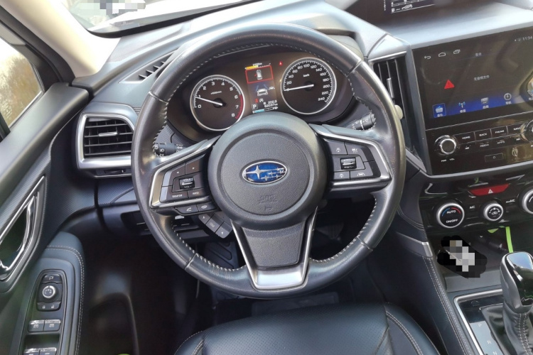 斯巴鲁 森林人 2019款 2.0i 豪华版EyeSight局部细节13