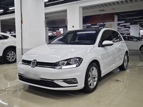 大众 高尔夫 2018款 230TSI 自动舒适型