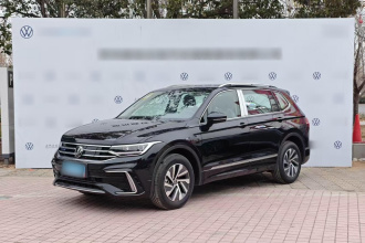 大众 途观L新能源 2023款 430PHEV 插电混动尊贵版