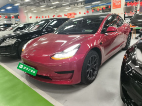 特斯拉 Model 3 2020款 改款 标准续航后驱升级版