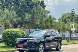 哈弗H6 2018款 蓝标 运动版 1.5T 自动两驱尊贵型