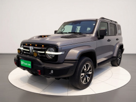 坦克300 2021款 城市版 2.0T 很有型