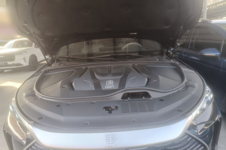 比亚迪 唐新能源 2024款 DM-i 荣耀版 112KM 尊荣型局部细节24