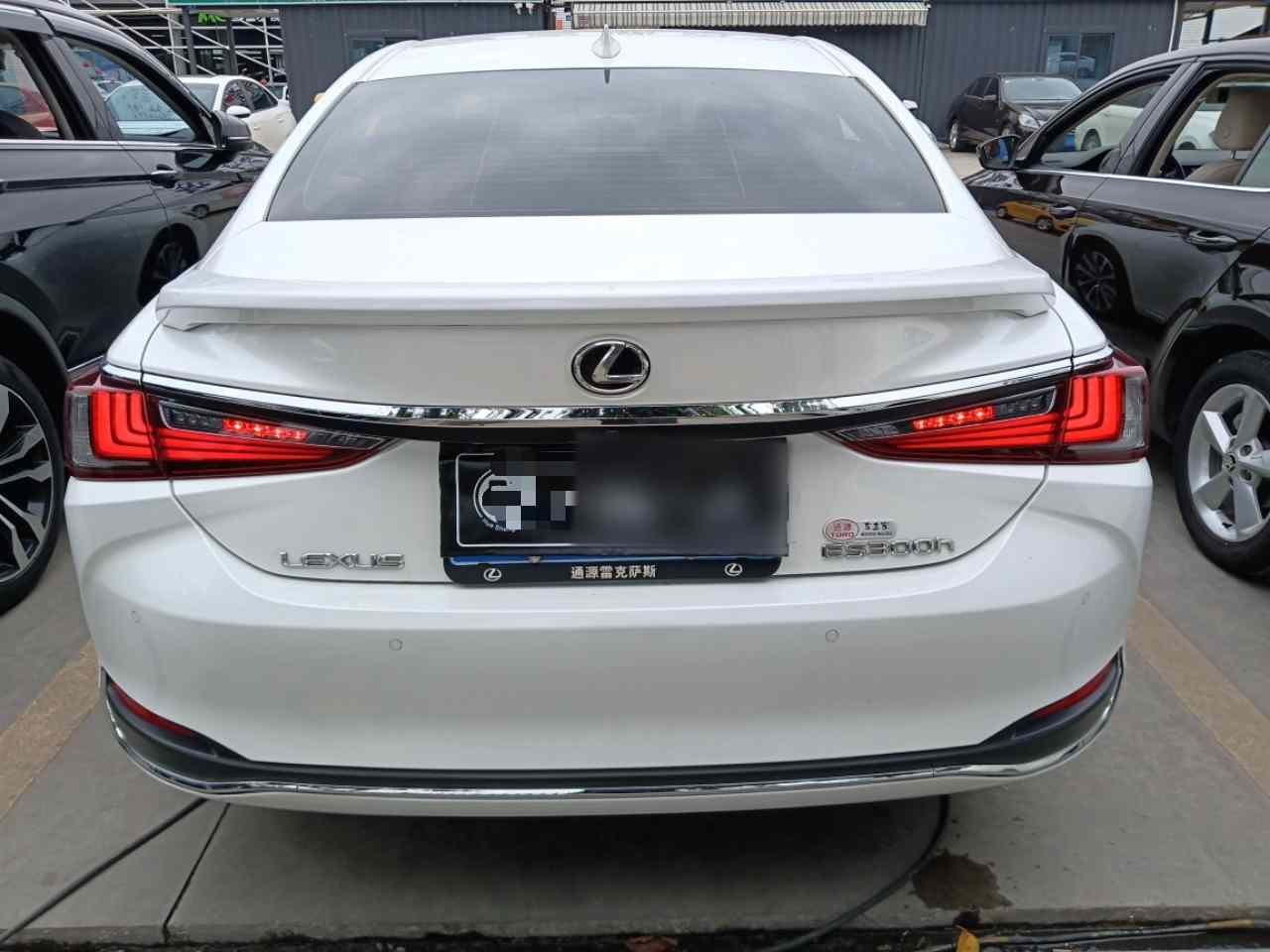 雷克萨斯ES 2023款 260 卓越版(3)