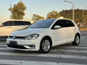 大众 高尔夫 2019款 1.6L 自动舒适型 国V