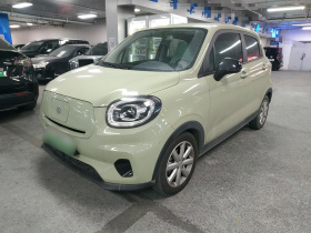 零跑汽车 零跑T03 2022款 耀金版