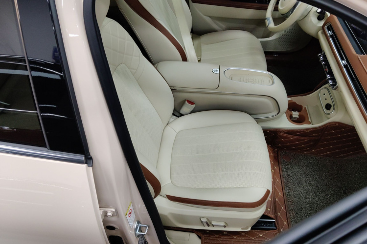 欧拉好猫 2023款 401km标准续航 尊荣型 磷酸铁锂局部细节41