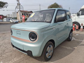 吉利银河 2024款 熊猫mini 200km 耐力熊