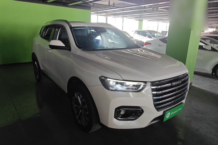 哈弗H6 2020款 2.0GDIT 自动铂金豪华版车身外观6002