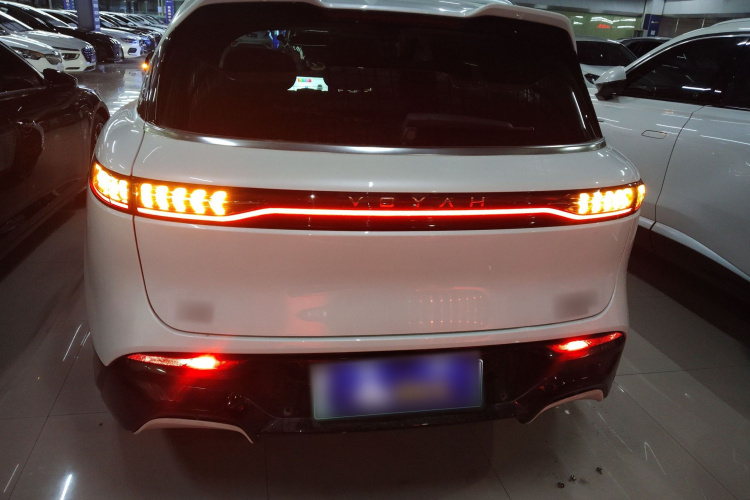 岚图汽车 岚图FREE 2024款 超长续航智驾版车身外观6004