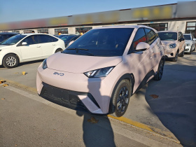 比亚迪 海鸥 2024款 荣耀版 305km 自由版