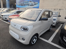 五菱汽车 宏光MINIEV 2024款 第三代 215km 青春版