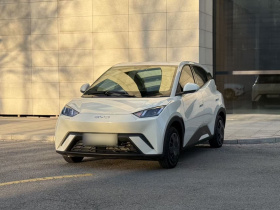 比亚迪 海鸥 2025款 305km 活力版