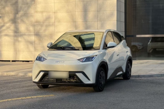 比亚迪 海鸥 2025款 305km 活力版