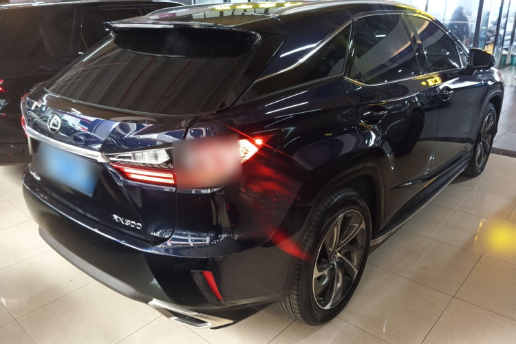 雷克萨斯RX 2016款 300 四驱典雅版 国V车身外观7