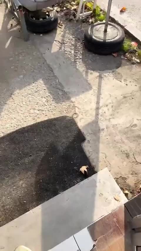 奥迪A6L 2024款 40 TFSI 豪华动感型讲解2