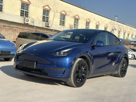 特斯拉 Model Y 2021款 长续航全轮驱动版 3D7
